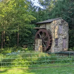 Roundhay Park - Leeds