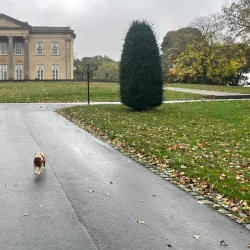 Roundhay Park - Leeds