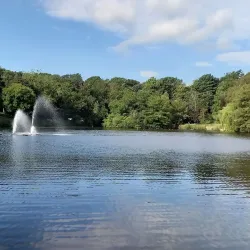 Roundhay Park - Leeds