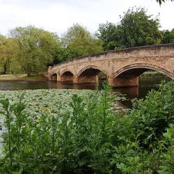 Abbey Park - Leicester