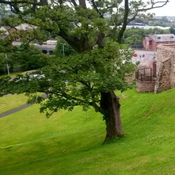Castle Gardens - Lisburn