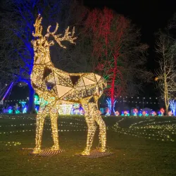 Castle Gardens - Lisburn