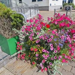 Island Arts Centre - Lisburn