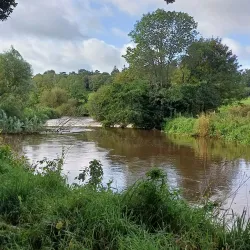 Lagan Valley Regional Park - Lisburn