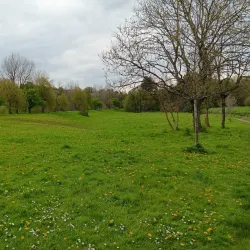 Lagan Valley Regional Park - Lisburn