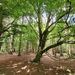 Lagan Valley Regional Park - Lisburn
