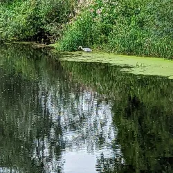 Lagan Valley Regional Park - Lisburn