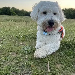 Brookfield Park - Littlehampton