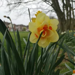 Brookfield Park - Littlehampton