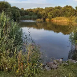 Brookfield Park - Littlehampton