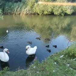 Brookfield Park - Littlehampton