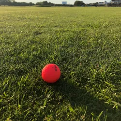 Littlehampton Golf Club - Littlehampton