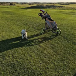 Littlehampton Golf Club - Littlehampton