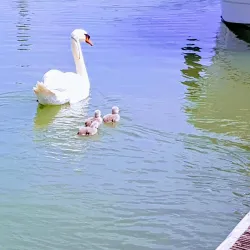 Littlehampton Marina - Littlehampton