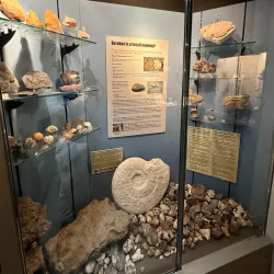 Littlehampton Museum - Littlehampton