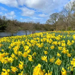 Sefton Park - Liverpool