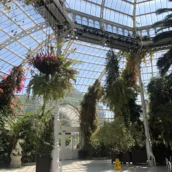 Sefton Park - Liverpool