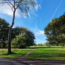 Sefton Park - Liverpool