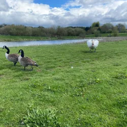 Bathgate Hills - Livingston