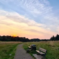 Dechmont Law - Livingston