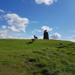 Dechmont Law - Livingston