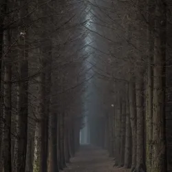 Dechmont Law - Livingston