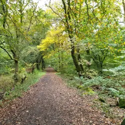 Dechmont Law - Livingston