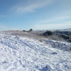 Dechmont Law - Livingston