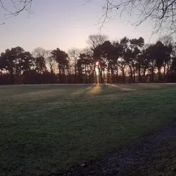 Eliburn Park - Livingston