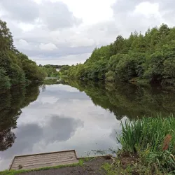 Eliburn Park - Livingston