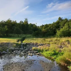 Eliburn Park - Livingston