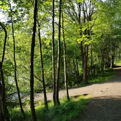 Eliburn Park - Livingston