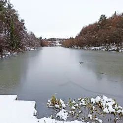 Eliburn Park - Livingston