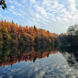 Eliburn Park - Livingston