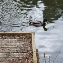 Eliburn Park - Livingston