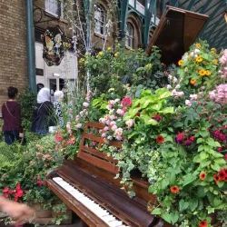 Covent Garden - London