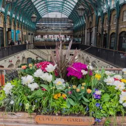Covent Garden - London