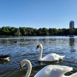 Hyde Park - London