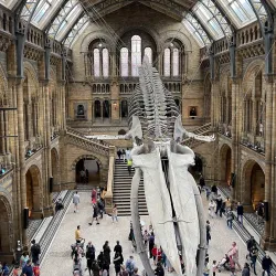 The Natural History Museum - London