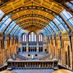 The Natural History Museum - London