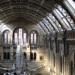 The Natural History Museum - London