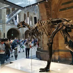 The Natural History Museum - London