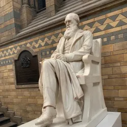 The Natural History Museum - London