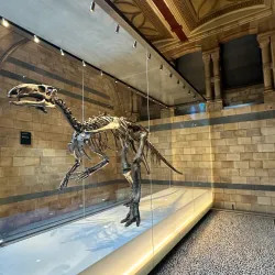 The Natural History Museum - London