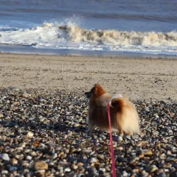 Kessingland Beach - Lowestoft