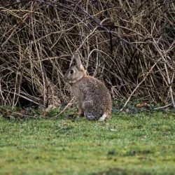 Mutford Lock - Lowestoft