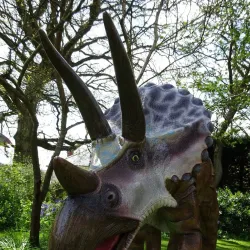 Red House Museum and Art Gallery - Lowestoft