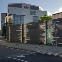 Luton Carnival - Luton