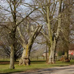 Luton Hoo Estate - Luton