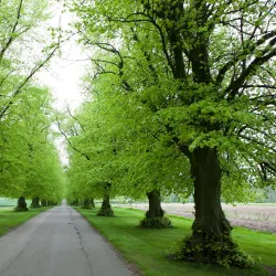 Luton Hoo Estate - Luton
